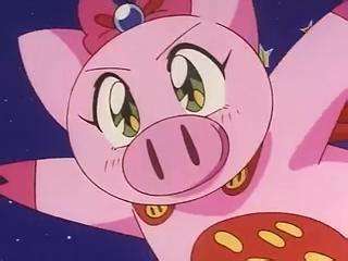 《飞天小猪》,宝妮 日本动漫里面最傻的一头猪