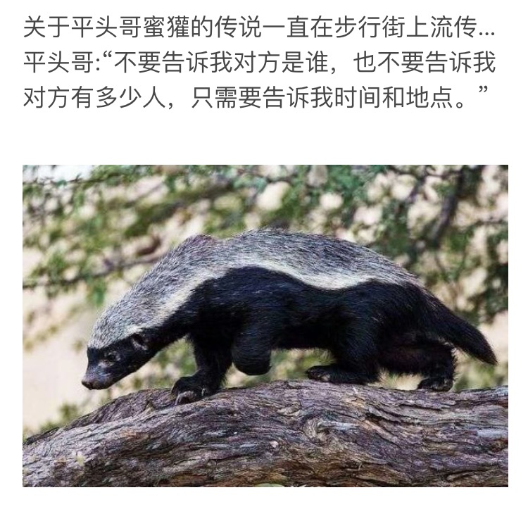 非洲二哥的崛起