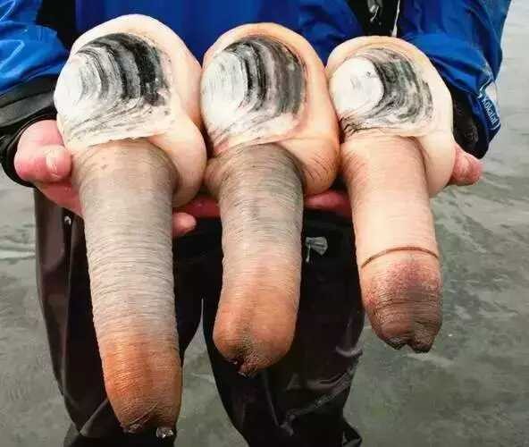 军师联盟有一点拍的很不错