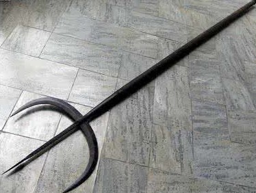 这种所谓的"猎虎叉"怎么可能对雄性成年东北虎造成大面积伤害?