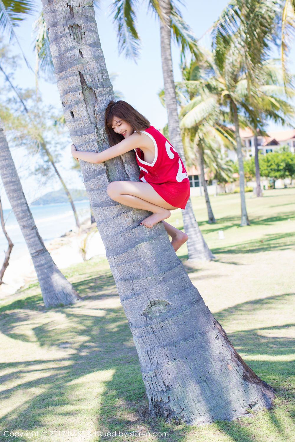 只发图_kds宽带山