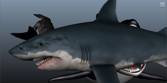 大白鲨 湾鳄 vs 虎鲸,胜负如何?