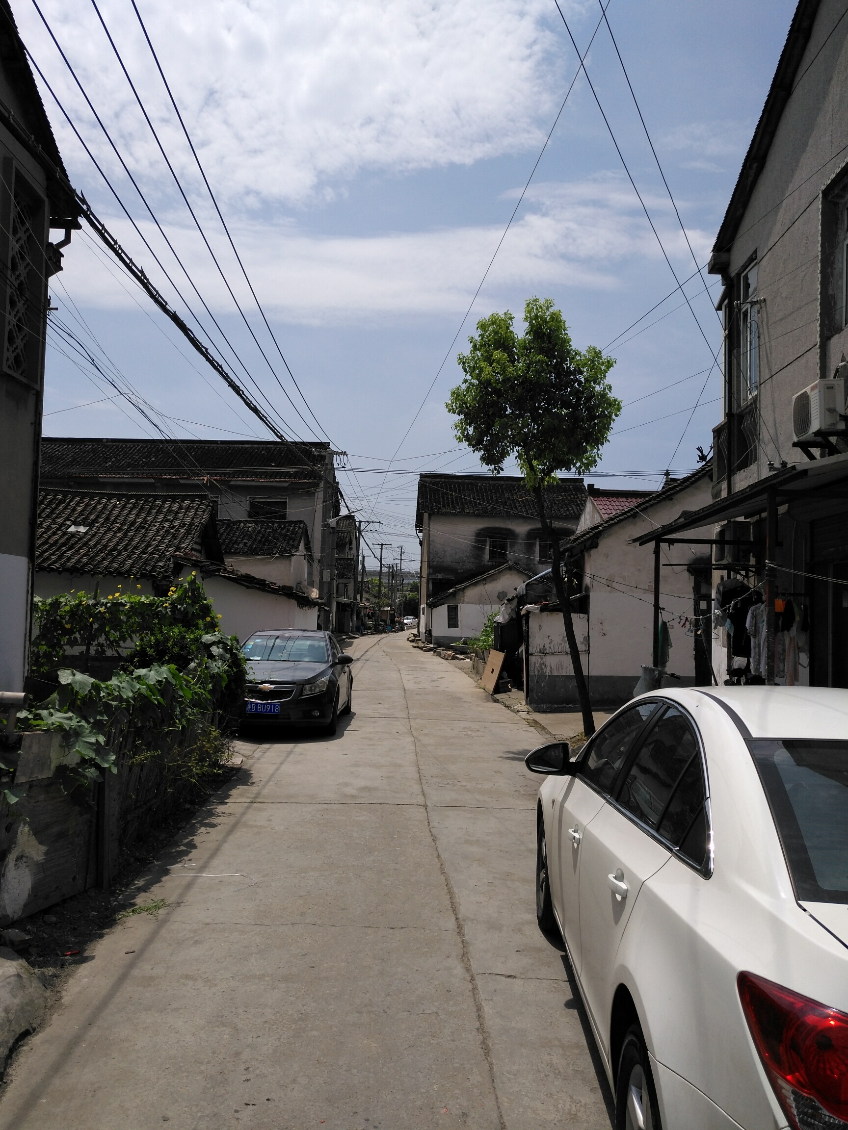 开个嘉定新城马陆镇破仓场村的帖子