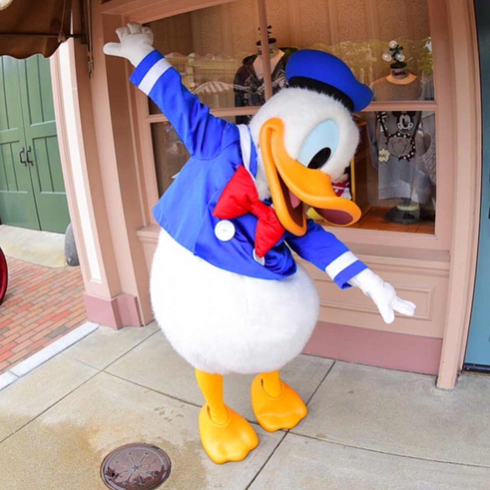 最近特别喜欢去微博看各种鸭屁股