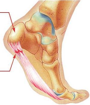 腱鞘炎脚部位置图片图片