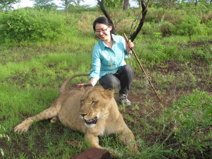 毛里求斯经典旅游项目——遛狮子