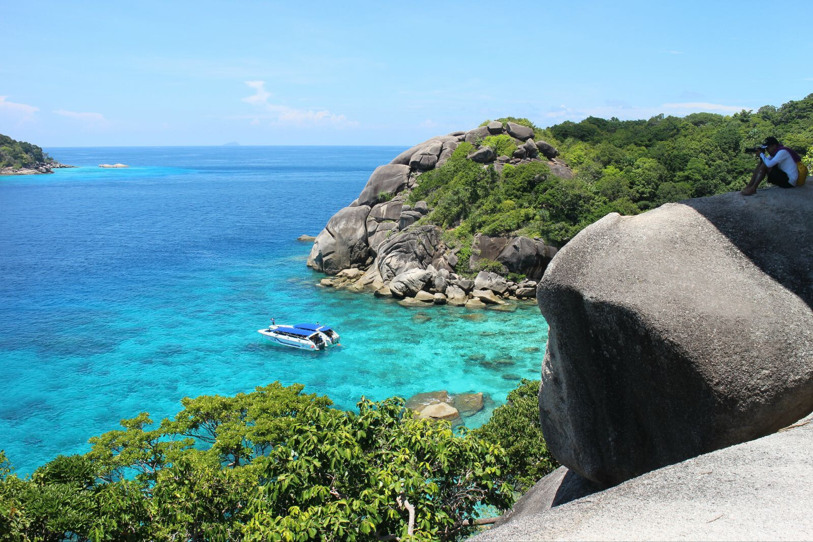 蜜月岛看海豚人品爆发,愿拼县喂羊驼化身农夫,可能我和泰国八字太和了