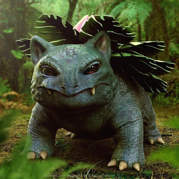 不知道你们有没有看过-宽带山kds-宽带山社区-城市消费门户