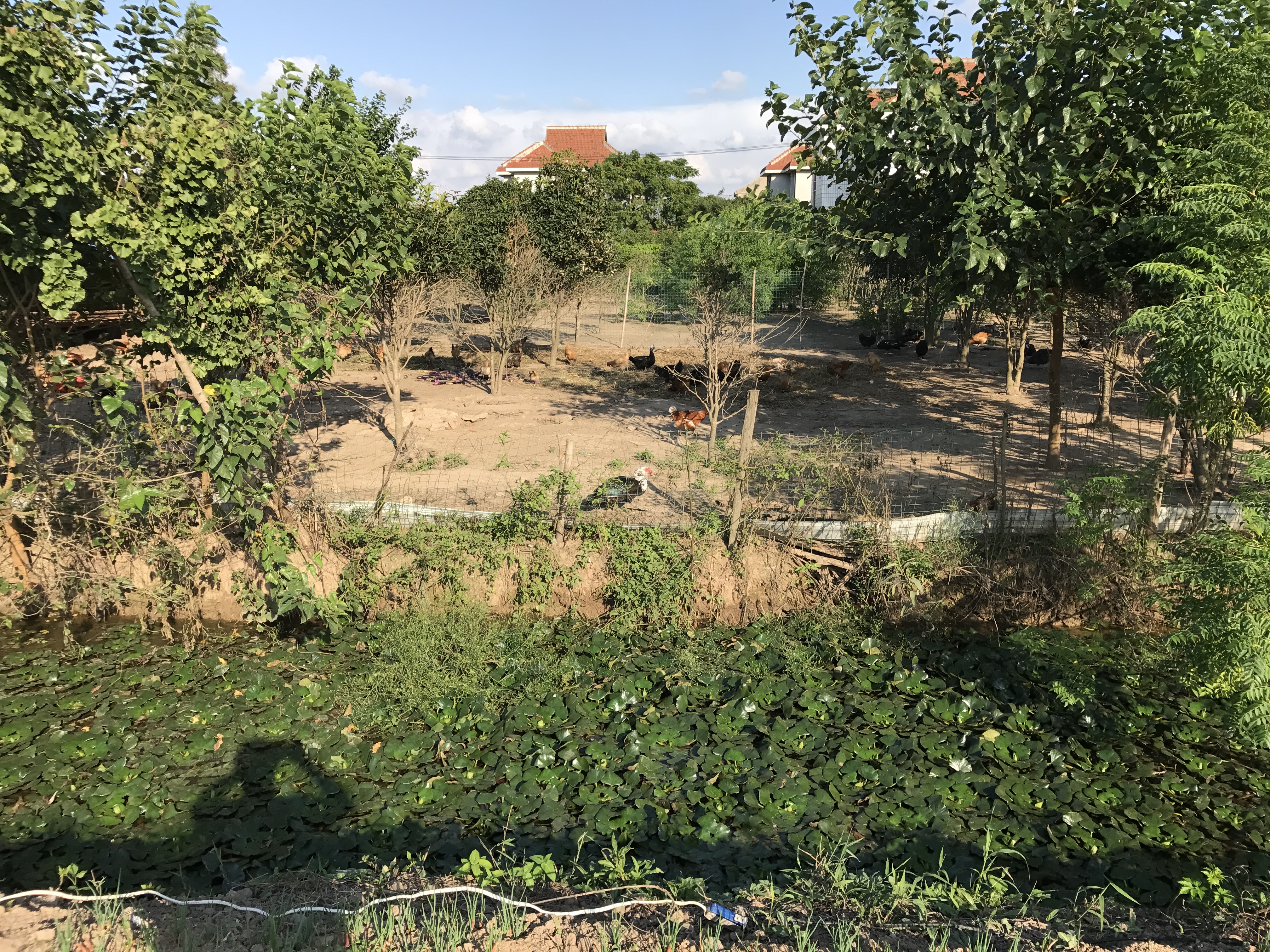 崇明人才网官网找兼职须知