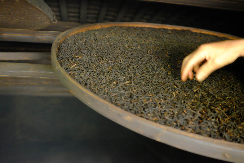 聊聊红茶鼻祖的那点事