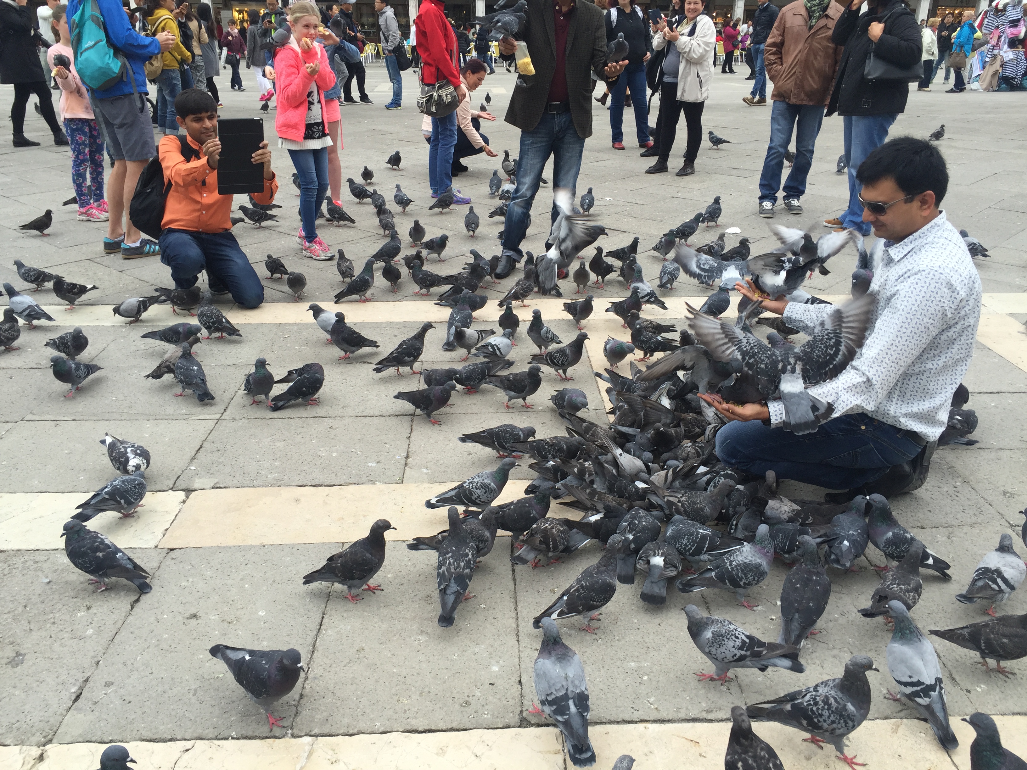 在圣马可广场喂鸽子是不错的体验