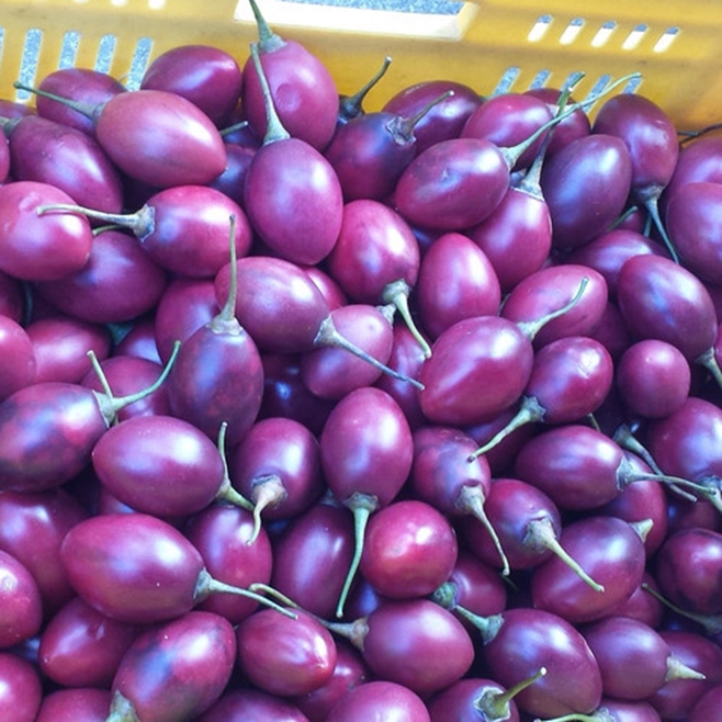 正式开贴说说我在新西兰留学的所见所闻