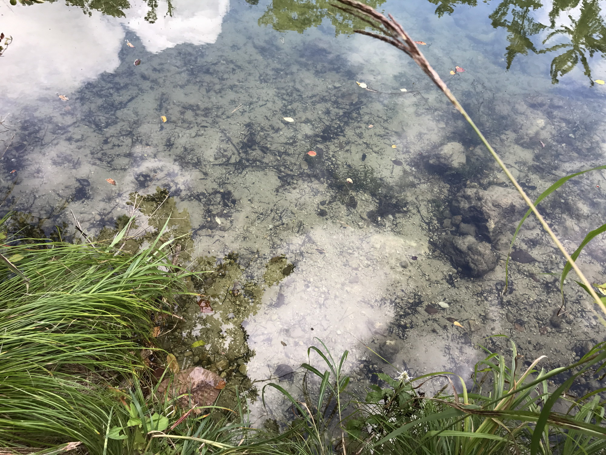 第八回日本世界遗产之旅