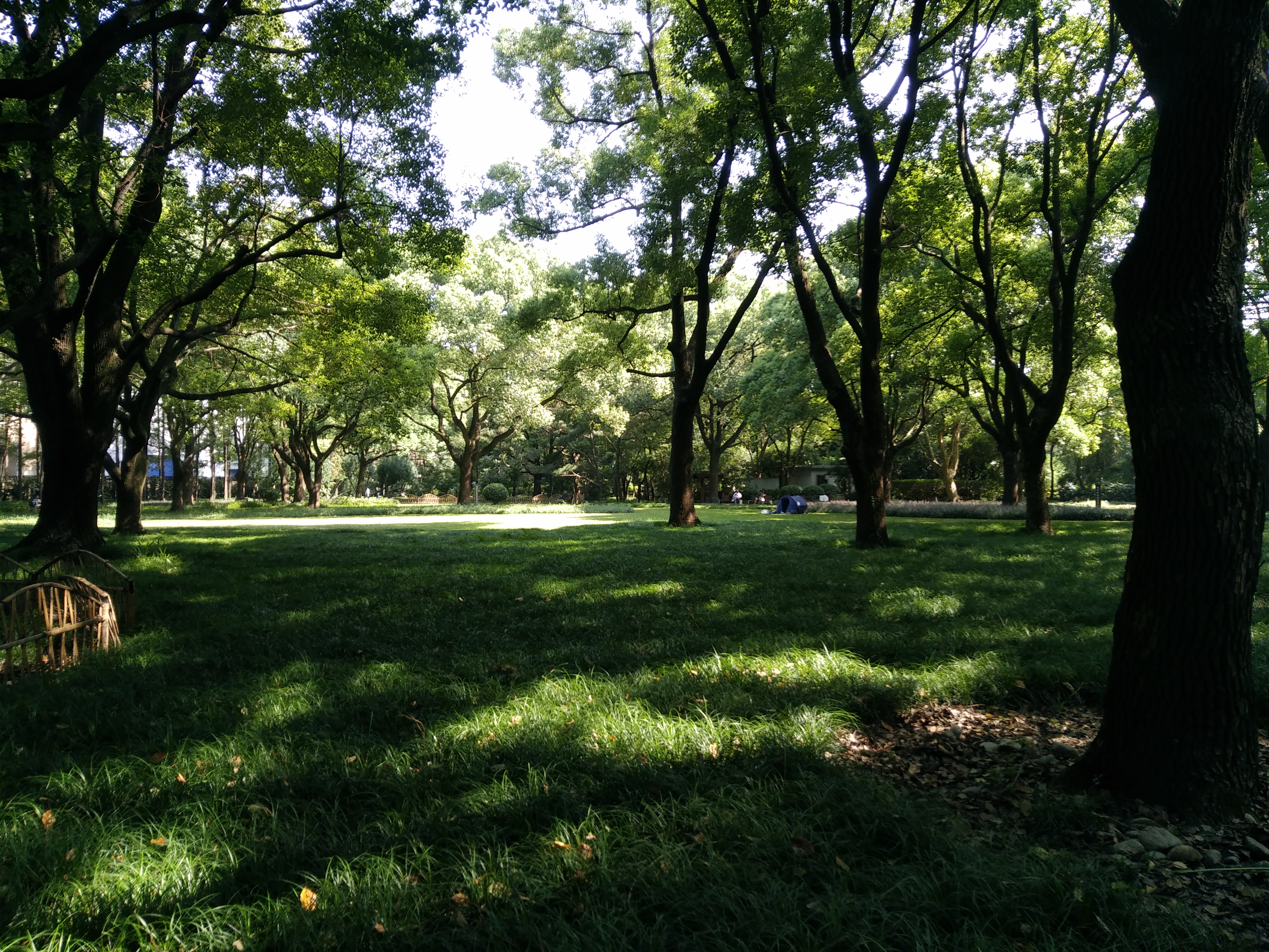 复兴岛公园_kds宽带山