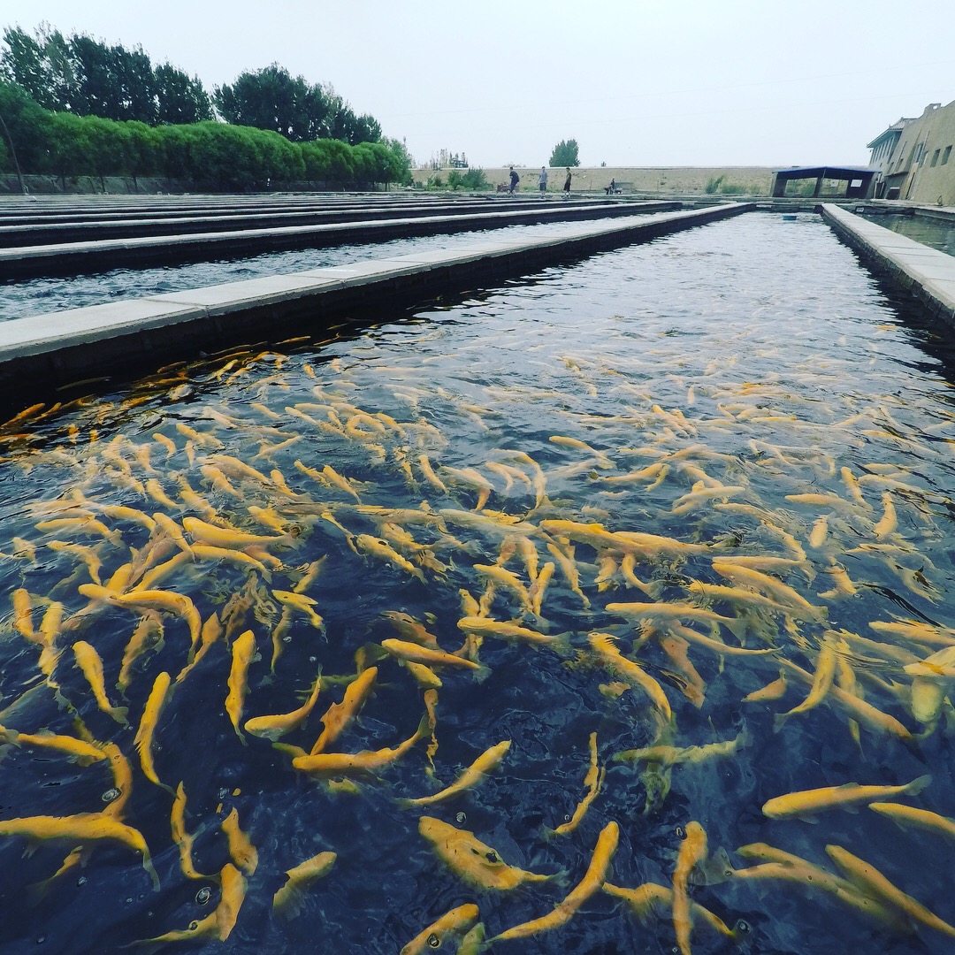 8天6000公里,很累,但风景真的漂亮