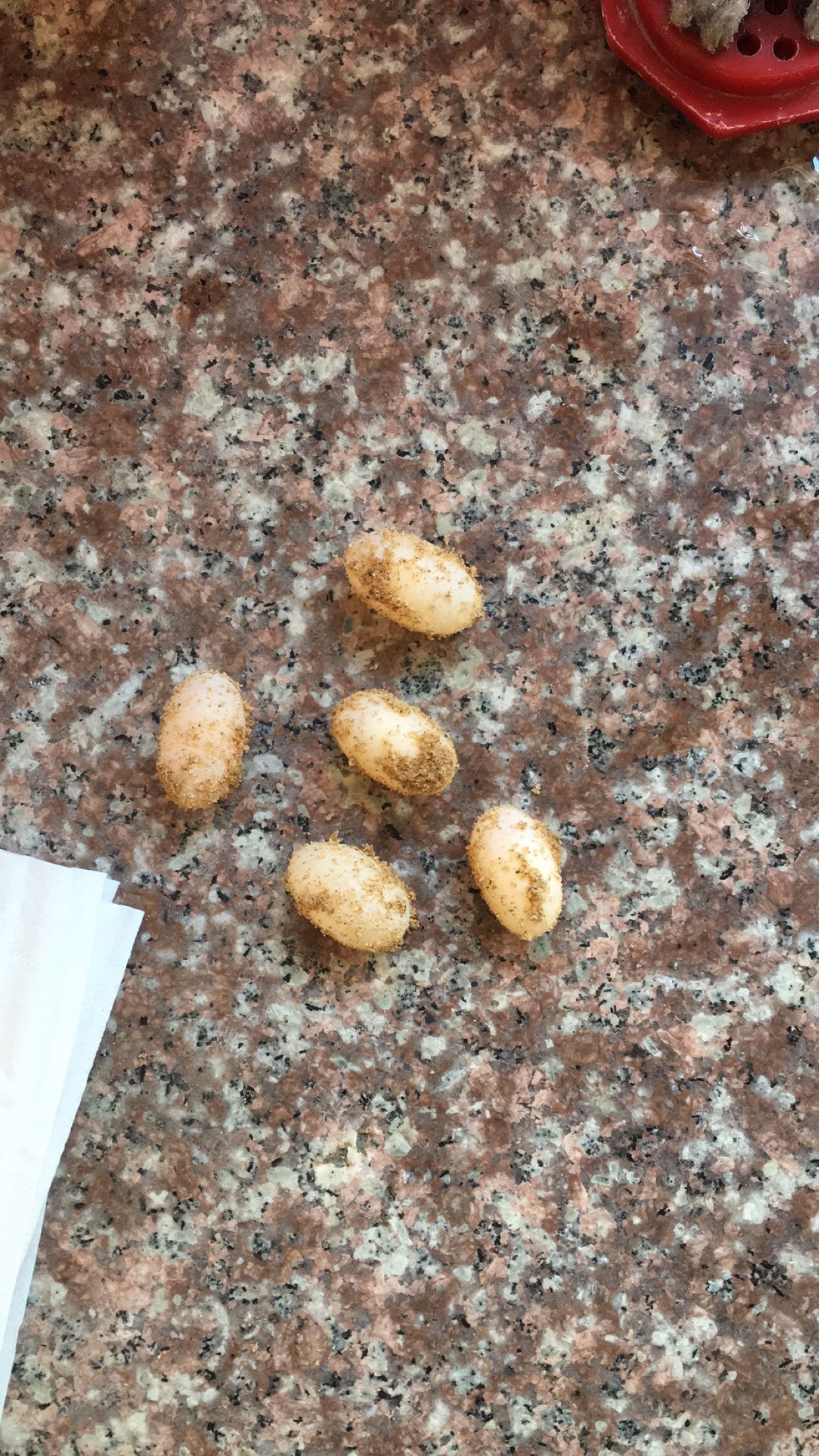 乌句王八蛋孵化记录贴,有喜欢的伐