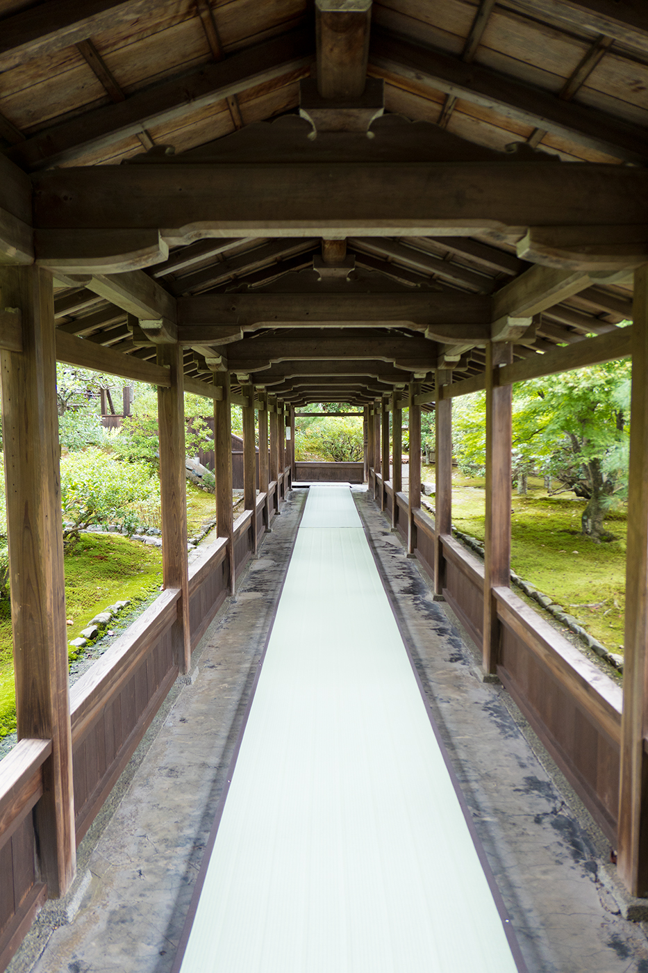 7天6夜 一个人的日本关西自由行