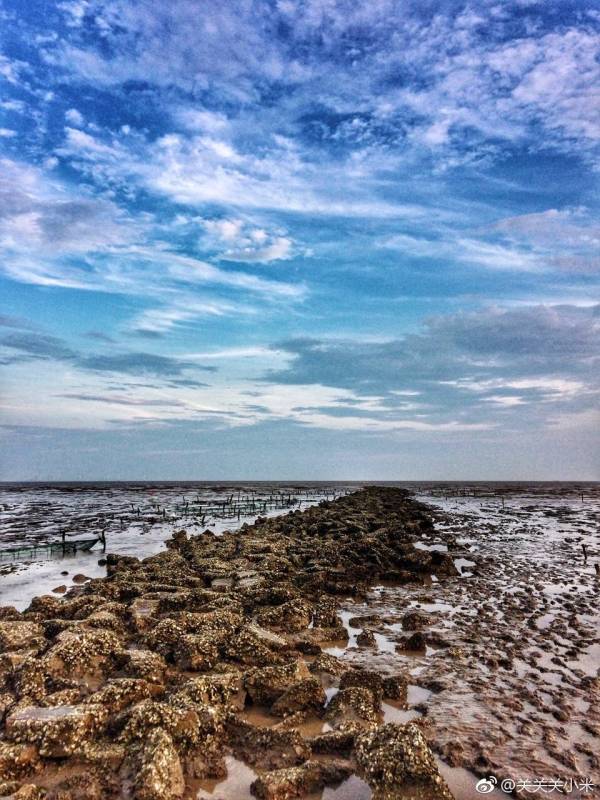 奉贤海边游_kds宽带山