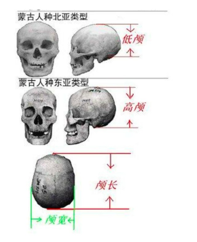 中国各地脸型研究