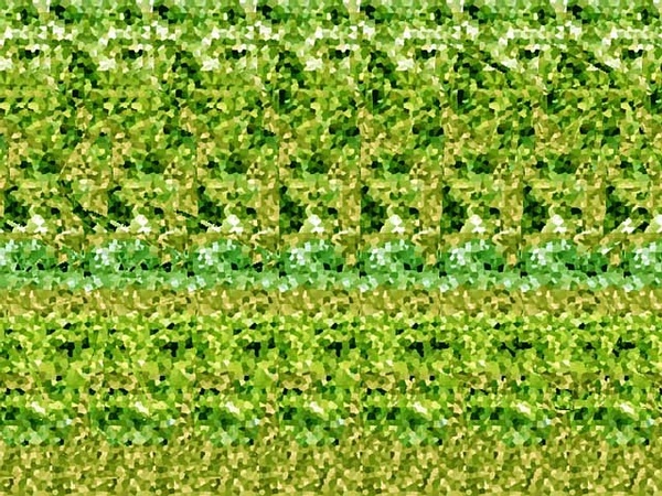 以前有种图,盯着盯着就会立体的,叫什么?