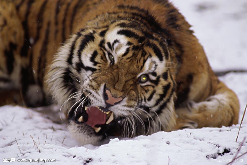 很多人说打架不看码子,放屁!