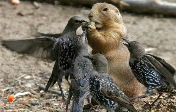 宽带山kds-宽带山社区-城市消费门户