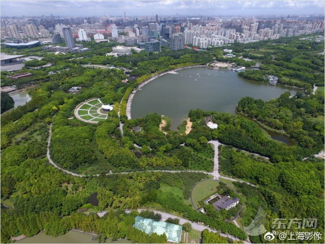 上海花木地区图片
