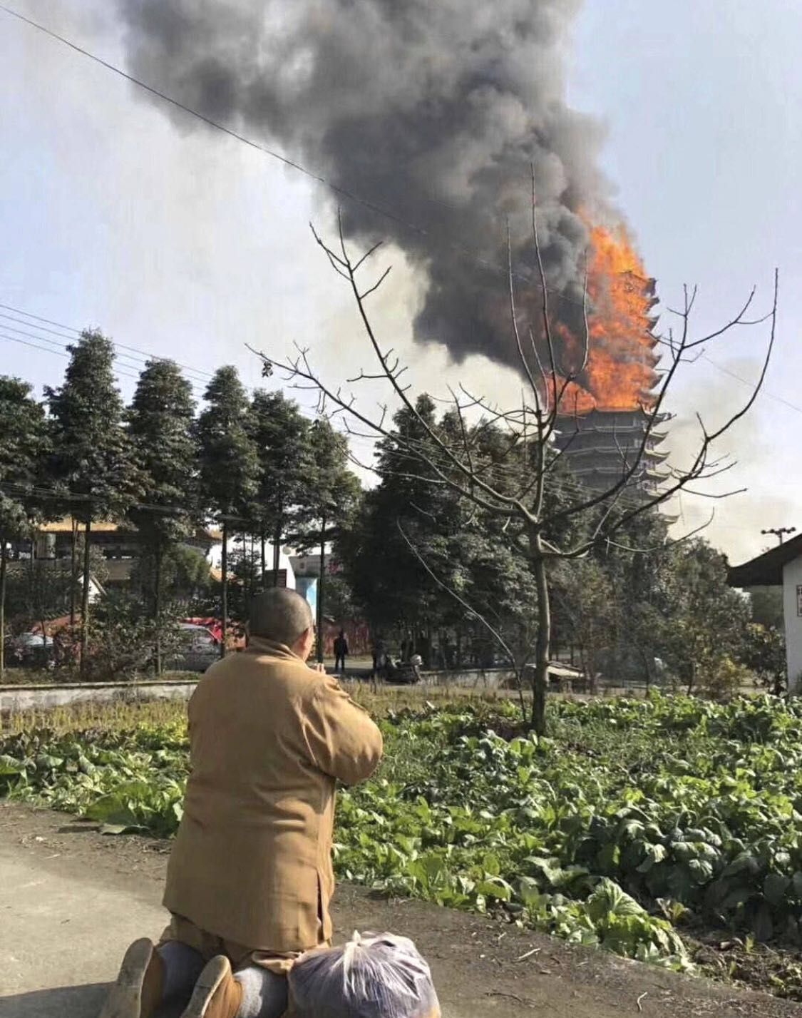 视频:四川九龙灵官楼突发大火!"亚洲第一高木塔"被烧毁