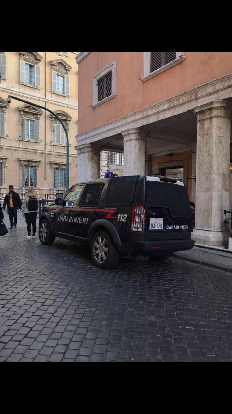 现在警车也有的卖?