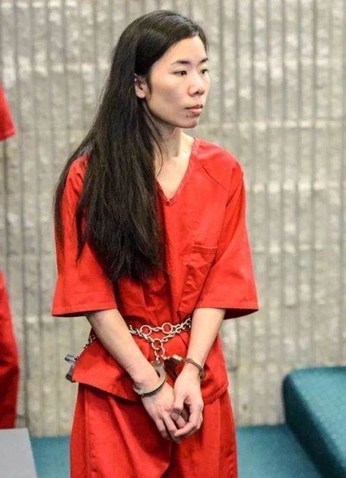 华裔女子杀死亲生女儿腌制尸体藏尸厨房 获刑22年