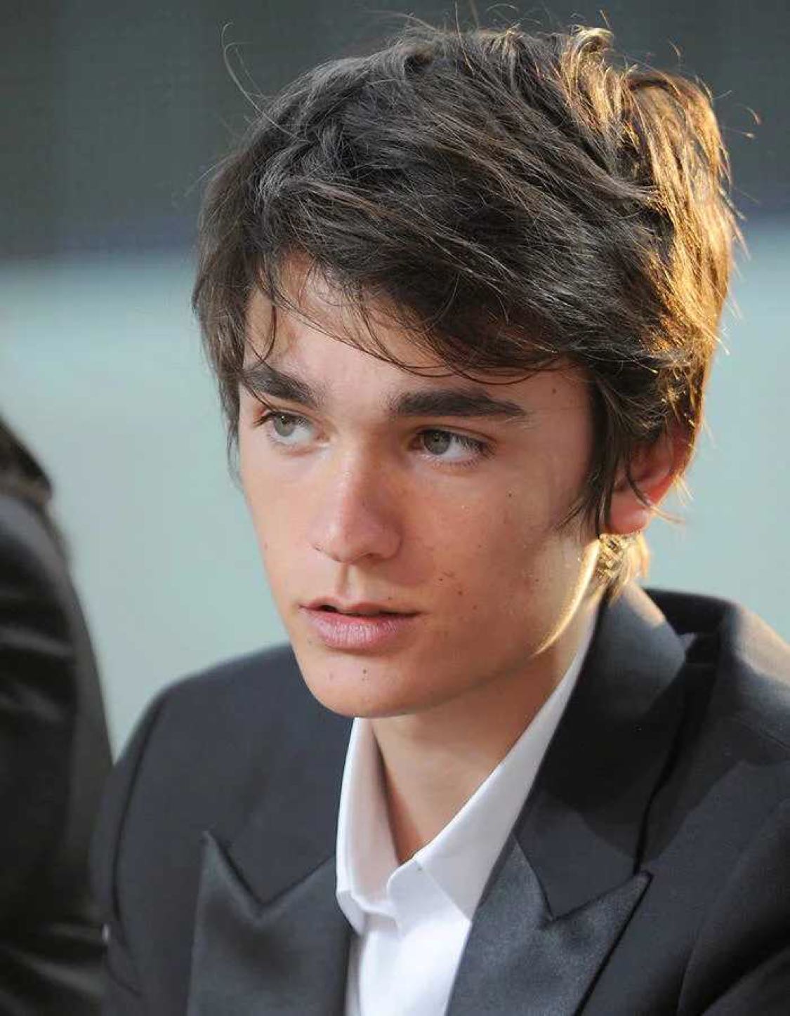 阿兰德龙儿子 比这种帅多了