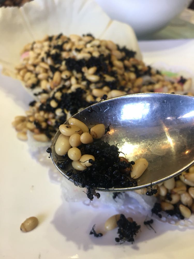 活的虱子活体蟑螂都可以做菜吃了啊!