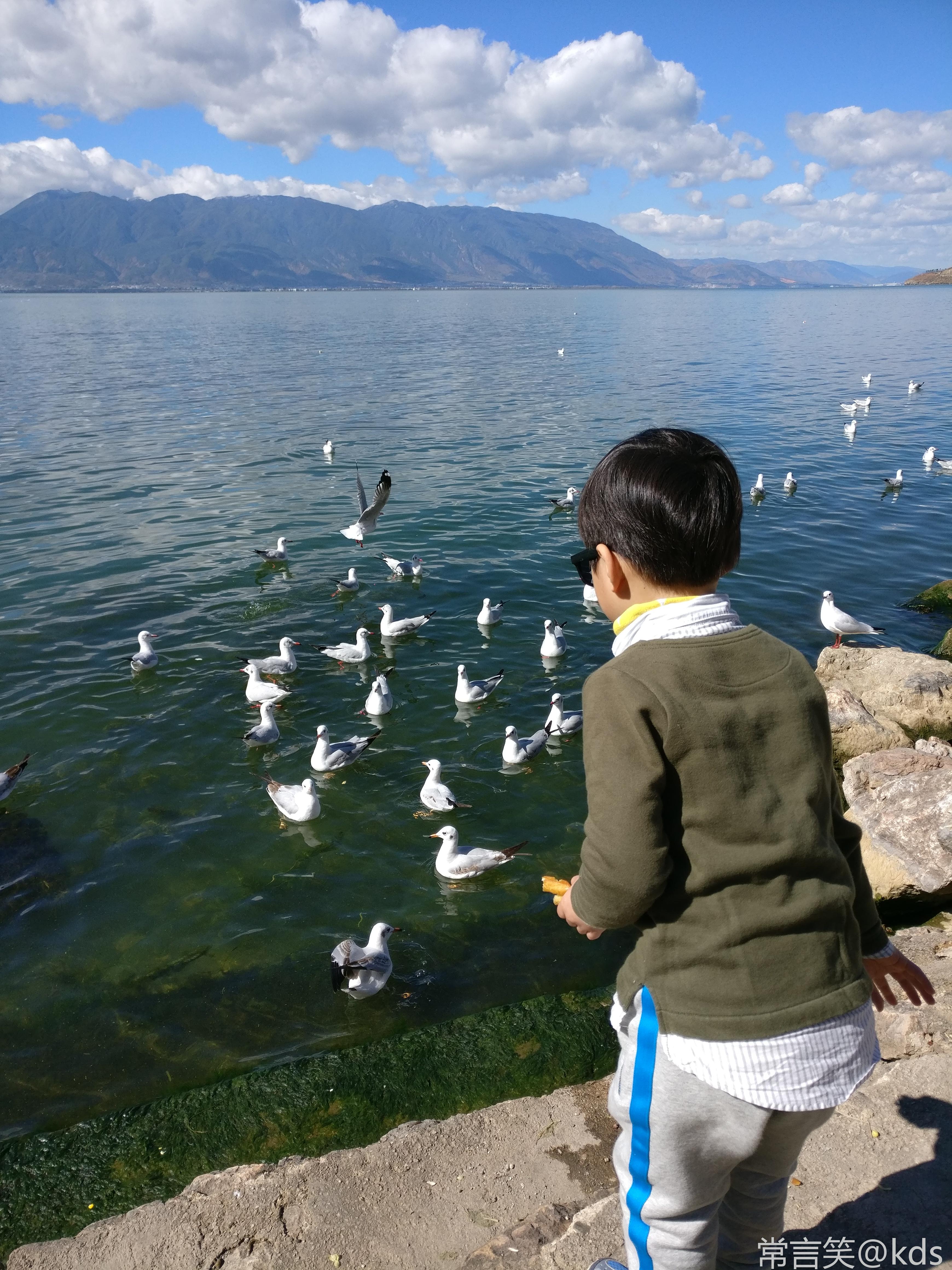 大理归来,那里真是个好地方啊.