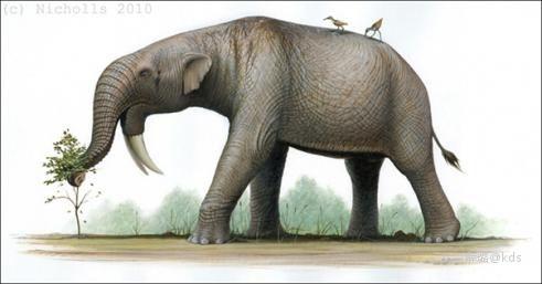 巨犀vs恐象 雷兽图片