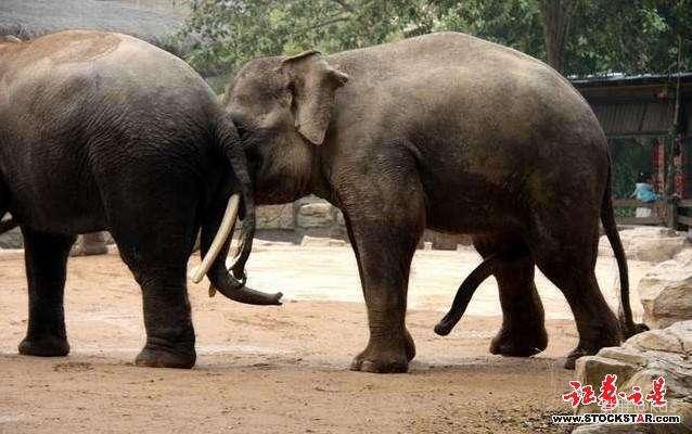 肾炎有的治了,可以克隆