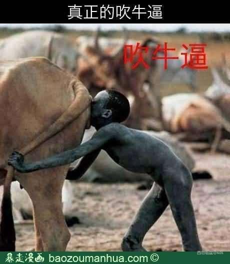 上海绿地是冠军!-宽带山kds-宽带山社区-城市消费门户