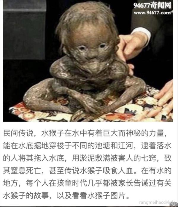 动物是人类的好朋友!