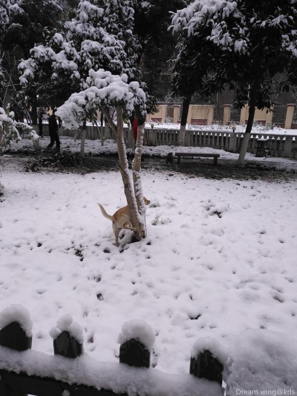 听说山上玩二轮的车神不少