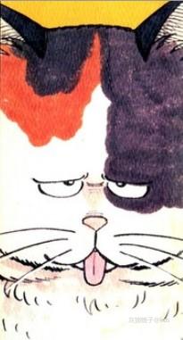 晚上看到这只猫有点吓人啊