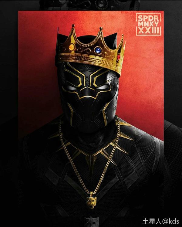 最有钱 黑豹 资产90兆 瓦坎达国王 瓦坎达有世界上最多的vibranium