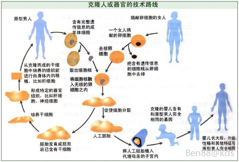 克隆人有灵魂吗?