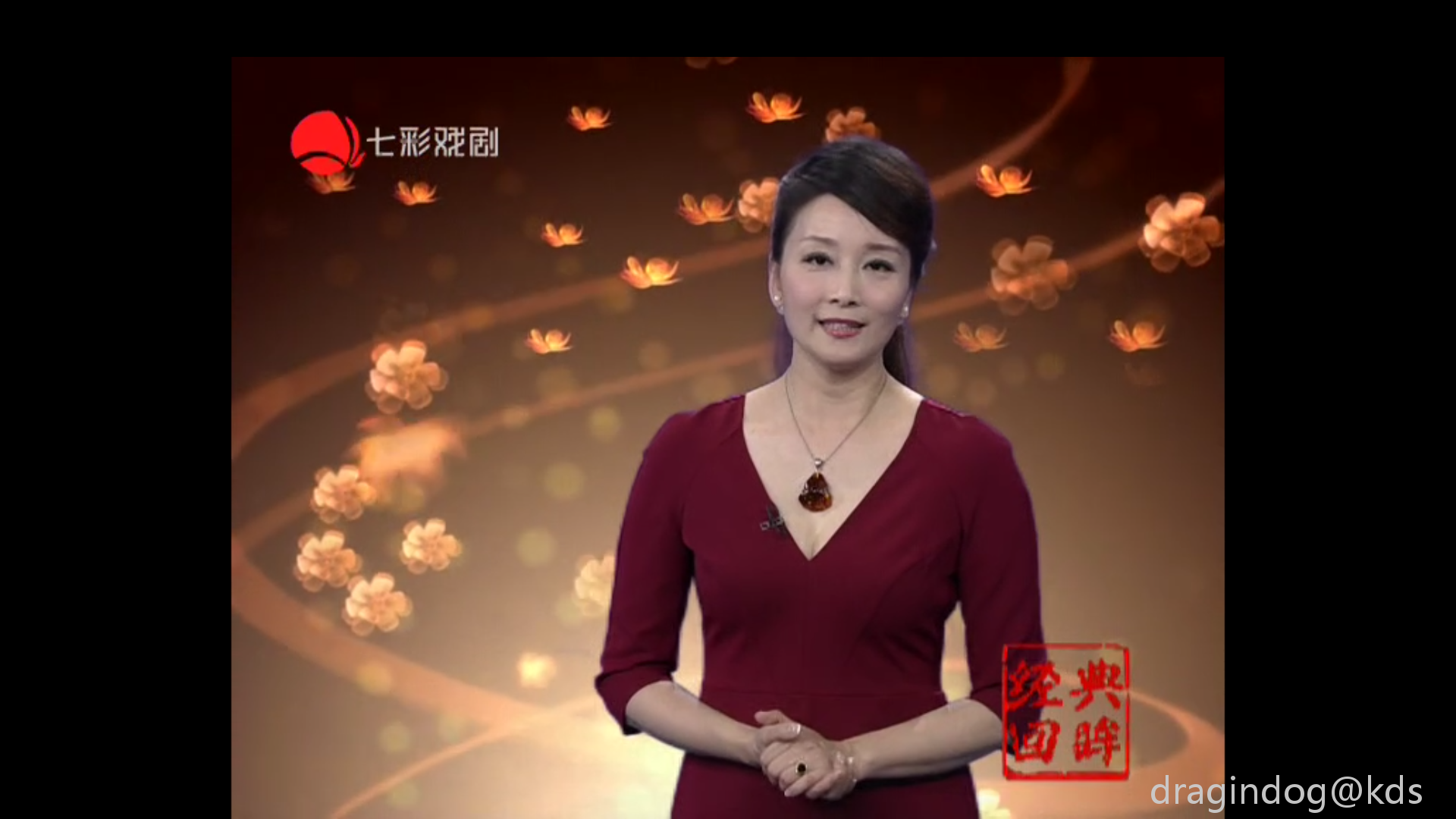上海传媒界十大美熟妇(品貌双全,人品不佳者不得入选)