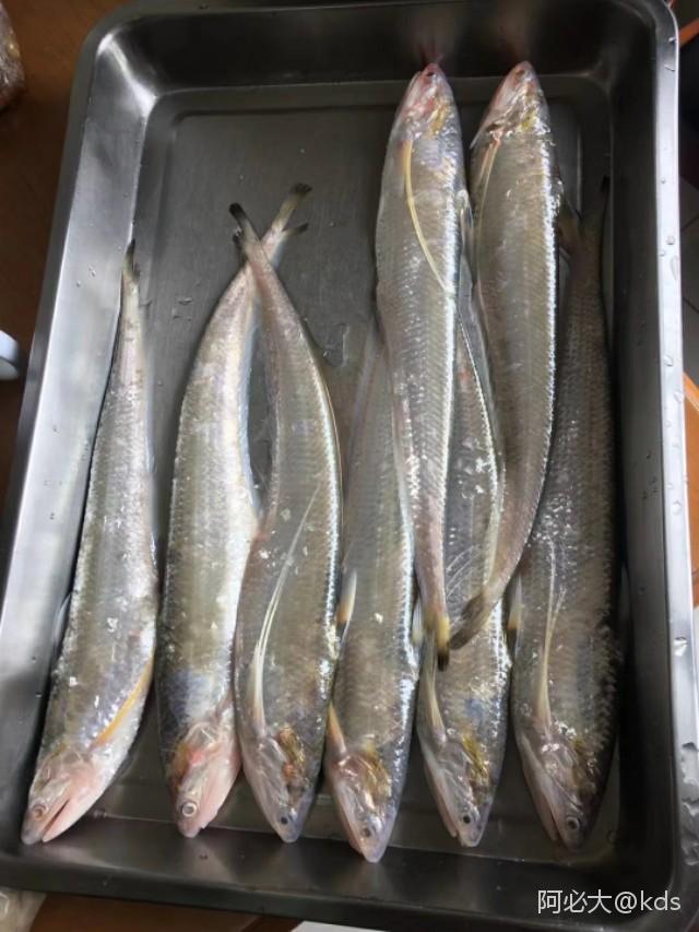 港度客户!送什么不好,送我一箱川条浪