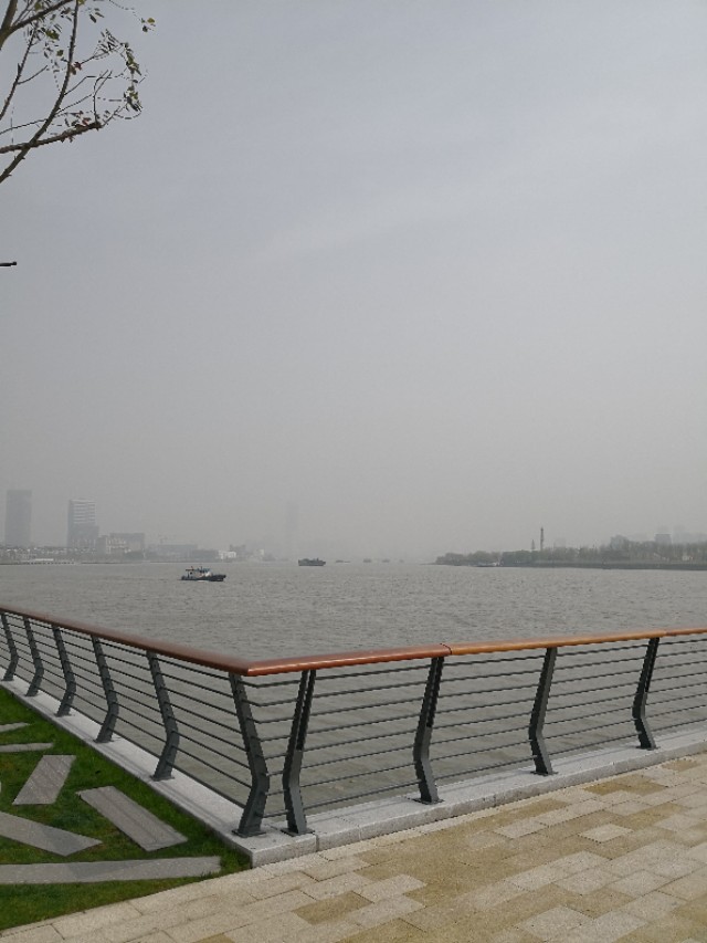 我大卢湾滨江,才是最美滨江.