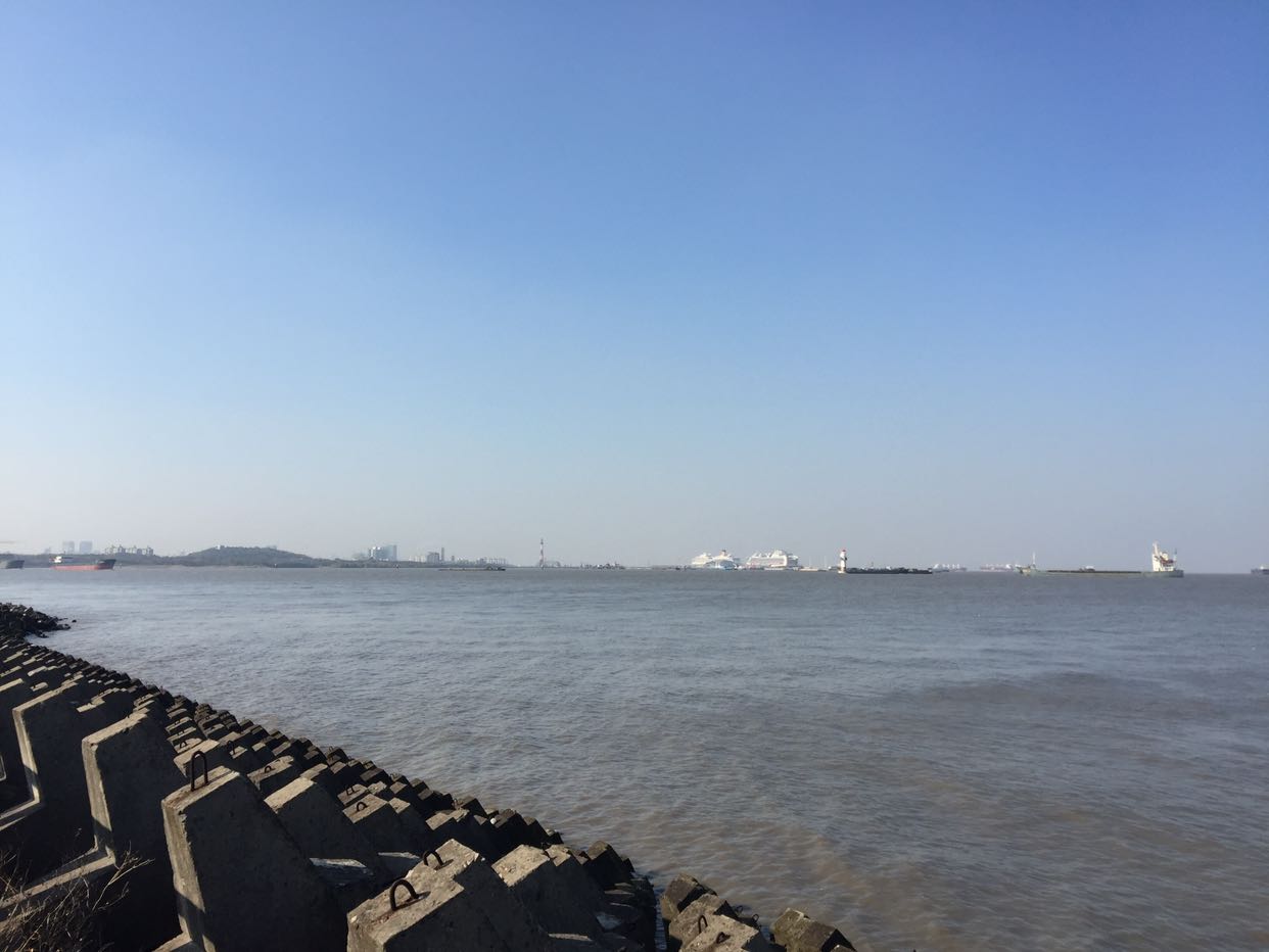 我大卢湾滨江,才是最美滨江.