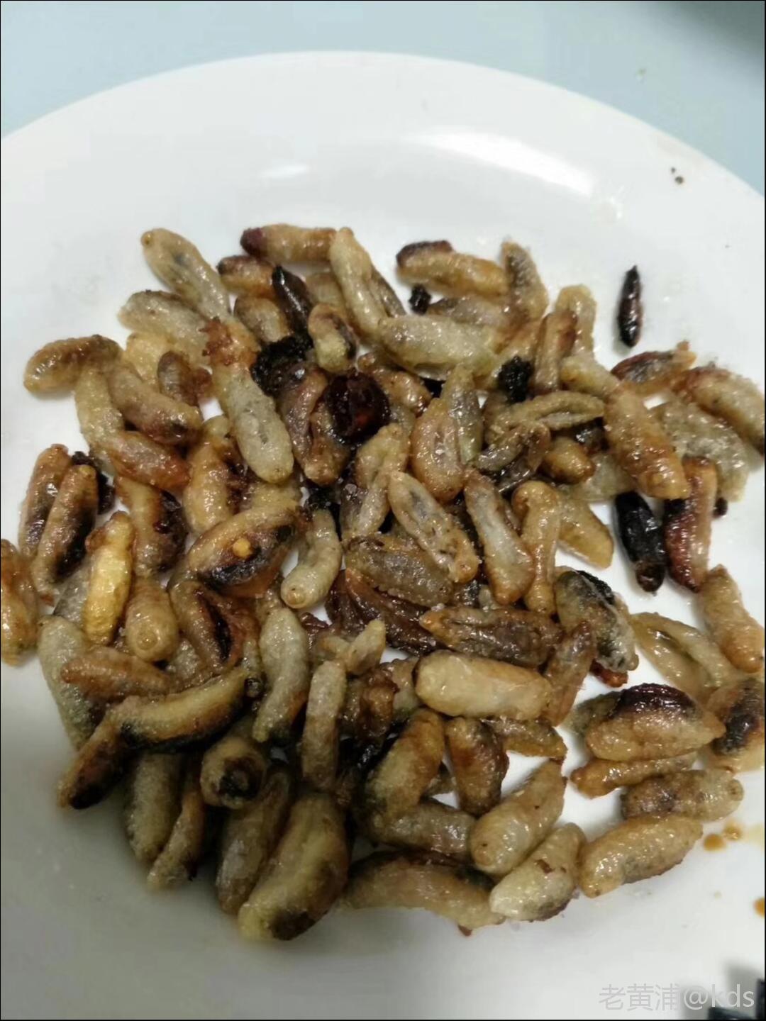 在江西收购各类野味的点点滴滴