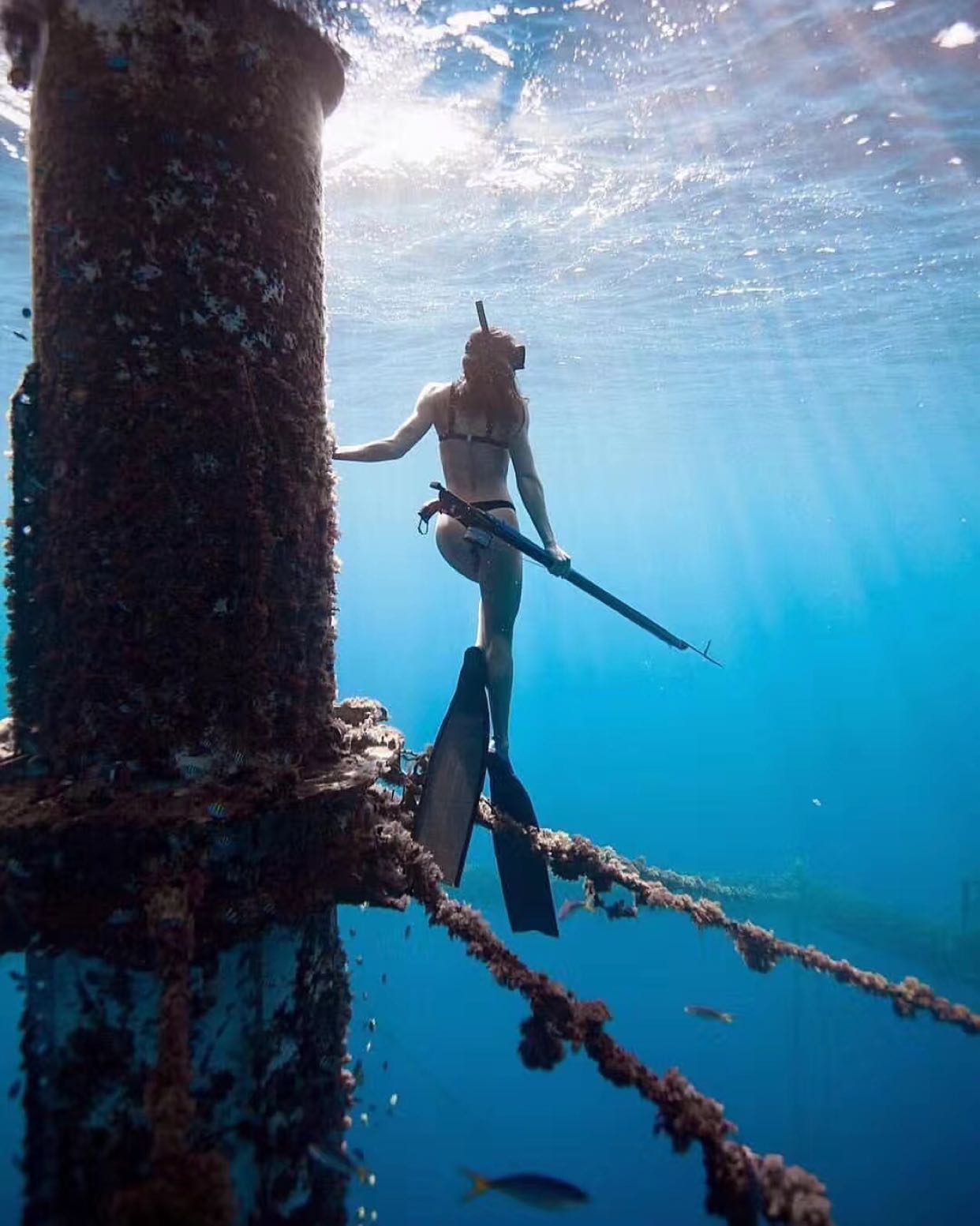 美女与自由潜更配哦