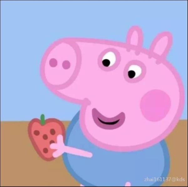 不理解为啥说她是精日-宽带山kds-宽带山社区-城市消费门户