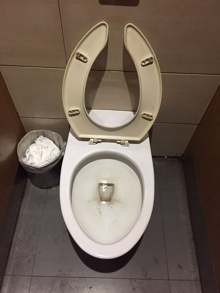 龙之梦的卫生间,到底坐还是站好啊?