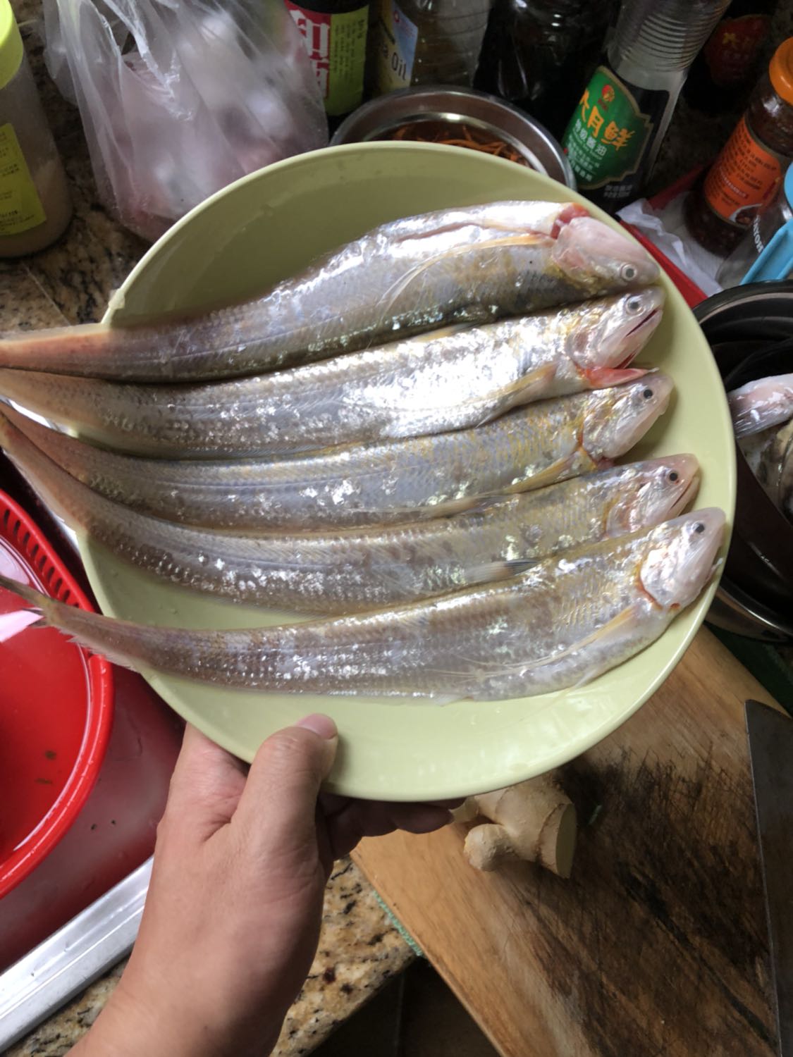 现在刺多的鱼是不是很少人吃啊?_kds宽带山